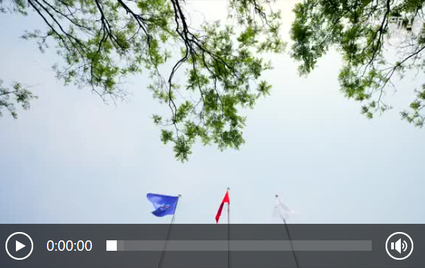 1714440542876.jpg