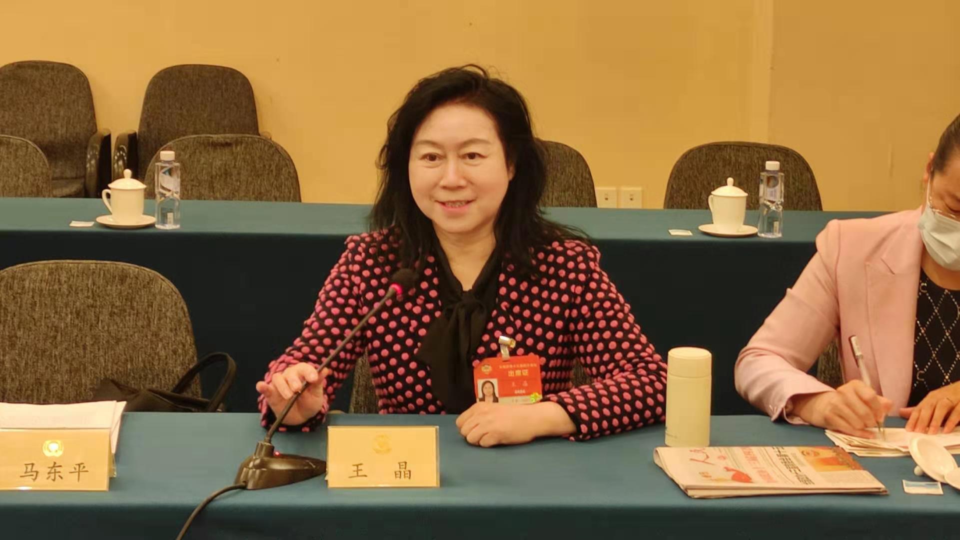 兩會王晶.jpg